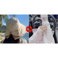 🍃💨😌 LIMITED-TIME 50% OFF! Breathable Summer Sun Hat – Wide Brim with Cute Bowknot, Quick-Dry Fabric, Adjustable Inner Band – Keep Cool & Chic All Day Long 🌞🌊