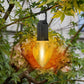 ⚡🌿 FAST CHARGE, GENTLE GLOW 🌿⚡ Hanging Camping Lantern – Vintage Style with Type-C Port, 400mAh Battery Lasts Hours. From Backyard BBQs to Moonlit Fishing, Your Perfect Portable Light. 🍢🌙🎣🏕️
