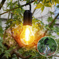 ⚡🌿 FAST CHARGE, GENTLE GLOW 🌿⚡ Hanging Camping Lantern – Vintage Style with Type-C Port, 400mAh Battery Lasts Hours. From Backyard BBQs to Moonlit Fishing, Your Perfect Portable Light. 🍢🌙🎣🏕️