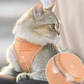 🦴🌸😊 LAST DAY 49% OFF! All-in-One Vest Harness & Leash – Padded Chest Plate, Adjustable Straps, No Choking – Keeps Your Dog Comfortable & Secure All Day 🐾✨