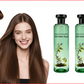 🌱 2026 New Arrival | Botanical Oil Hair Dye | Nourishing & Gentle 💚 【BOGO】