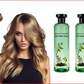 🌱 2026 New Arrival | Botanical Oil Hair Dye | Nourishing & Gentle 💚 【BOGO】