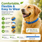⏳Limited-time 50% off⏰Natural Essential Oil Pet Pest Repellent Collar🐶🛡️