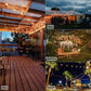 💐50% OFF ! Outdoor Solar String Lights – Energy Saving & Magical Ambiance 💡🌸【Limited Offer】