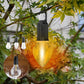 ⚡🌿 FAST CHARGE, GENTLE GLOW 🌿⚡ Hanging Camping Lantern – Vintage Style with Type-C Port, 400mAh Battery Lasts Hours. From Backyard BBQs to Moonlit Fishing, Your Perfect Portable Light. 🍢🌙🎣🏕️