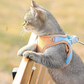 🦴🌸😊 LAST DAY 49% OFF! All-in-One Vest Harness & Leash – Padded Chest Plate, Adjustable Straps, No Choking – Keeps Your Dog Comfortable & Secure All Day 🐾✨