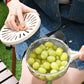 🌟 2026 Fresh-Keeper | 3-in-1 Draining Basket & Fruit Bowl 🧊💎【-50%】