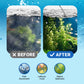 🐠 BUY 1 GET 1 FREE! 💧 Powerful Aquarium Water Clarifier – Clears Cloudy Water, Safe for Fish & Fast-Acting 🌿