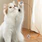 💐50% DE RÉDUCTION ! Interactive Cat Bouncy Ball with Feather – Captivates Your Cat Instantly 🐱⚡【Limited Offer】