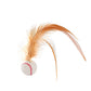 💐50% DE RÉDUCTION ! Interactive Cat Bouncy Ball with Feather – Captivates Your Cat Instantly 🐱⚡【Limited Offer】