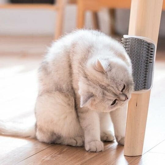 💐50% OFF ! Cat Hair Catcher Wall Comb – Collects Loose Fur, Less Cleaning 🐈‍⬛🧹【Today Only】