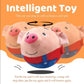 💐50% OFF ! Durable Bouncing Pig Toy – Safe Material & Long-Lasting ⚡🐾【Crazy Price】