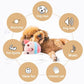 💐50% OFF ! Durable Bouncing Pig Toy – Safe Material & Long-Lasting ⚡🐾【Crazy Price】