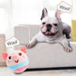 💐50% OFF ! Durable Bouncing Pig Toy – Safe Material & Long-Lasting ⚡🐾【Crazy Price】