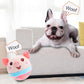 💐50% OFF ! Durable Bouncing Pig Toy – Safe Material & Long-Lasting ⚡🐾【Crazy Price】