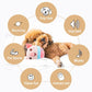 💐50% OFF ! Durable Bouncing Pig Toy – Safe Material & Long-Lasting ⚡🐾【Crazy Price】