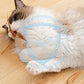 💐50% DE RÉDUCTION ! Interactive Cat Bouncy Ball with Feather – Captivates Your Cat Instantly 🐱⚡【Limited Offer】