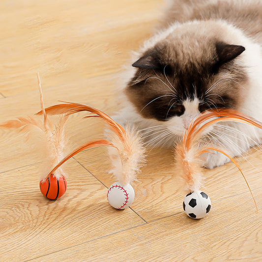 💐50% DE RÉDUCTION ! Interactive Cat Bouncy Ball with Feather – Captivates Your Cat Instantly 🐱⚡【Limited Offer】