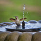 💐50% OFF ! Solar Bird Bath Pump – Bring Nature to Your Garden 🐦💧【Limited Offer】