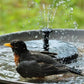 💐50% OFF ! Solar Bird Bath Pump – Bring Nature to Your Garden 🐦💧【Limited Offer】