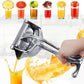 💐50% OFF ! Stainless Steel Juicer – Boost Your Natural Defenses 💪🥝【Flash Sale】