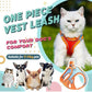 🦴🌸😊 LAST DAY 49% OFF! All-in-One Vest Harness & Leash – Padded Chest Plate, Adjustable Straps, No Choking – Keeps Your Dog Comfortable & Secure All Day 🐾✨