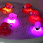 💐50% OFF ! 2026 Bestseller – Water-Activated Glow Toy, 50K+ Reviews ⭐🌟【Limited Offer】