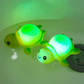 💐50% OFF ! 2026 Bestseller – Water-Activated Glow Toy, 50K+ Reviews ⭐🌟【Limited Offer】
