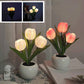 💐50% OFF! LED Tulip Night Light – Soft Glow for Peaceful Sleep 🌙😴【Flash Sale】