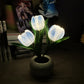 💐50% OFF! LED Tulip Night Light – Soft Glow for Peaceful Sleep 🌙😴【Flash Sale】