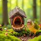 ✨ New 2026 Smart Design | Weatherproof Bird Feeder 🐦【50% OFF】