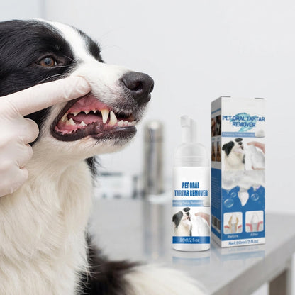 💐50% OFF! Tartar & Odor Control Foam – Fresh Breath & Clean Teeth 🐕🌟【Limited Offer】