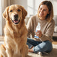 💐50% OFF! Tartar & Odor Control Foam – Fresh Breath & Clean Teeth 🐕🌟【Limited Offer】