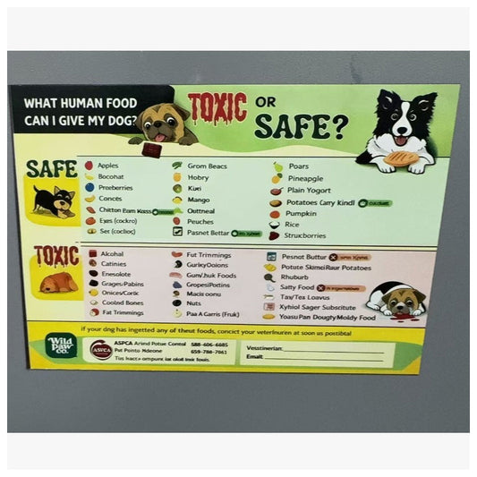 💐50% OFF ! Cat Food Safety Fridge Magnet – Kitchen Essential 🧲🐈【Flash Sale】