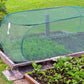💐50% OFF NOW! Insect Mesh Plant Cover – Natural Protection & Tool-Free Setup 🦟🌱【Exceptional Price】