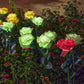 💐50% OFF ! Solar Rose Flower Lighting – Wireless, Auto-On at Dusk 🌼🔋【Flash Sale】