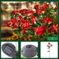 💐50% OFF ! Solar Rose Flower Lighting – Wireless, Auto-On at Dusk 🌼🔋【Flash Sale】