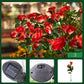 💐50% OFF ! Solar Rose Flower Lighting – Wireless, Auto-On at Dusk 🌼🔋【Flash Sale】