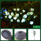 💐50% OFF ! Solar Rose Flower Lighting – Wireless, Auto-On at Dusk 🌼🔋【Flash Sale】