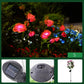 💐50% OFF ! Solar Rose Flower Lighting – Wireless, Auto-On at Dusk 🌼🔋【Flash Sale】
