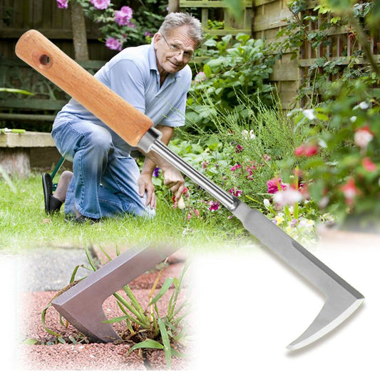 💐50% OFF ! Stainless Steel Weeding Tool – Durable & Precise for Tight Crevices 🔧✨【Special Offer】