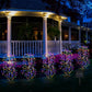 🥳2026 HOT SALE🥳💞50K+ SOLD!💥✨🌙 50% OFF! Solar Garden Lights – Creates warm, inviting glow for patios & yards. 8-10hrs illumination after full charge. Easy install, weatherproof. A beautiful touch to any outdoor space. 🏠💫