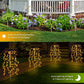 💐50% OFF ! Decorative Solar Lights – Create a Magical Garden Ambiance 🌿✨【Buy 3 Get 1 Free】