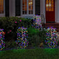 💐50% OFF ! Decorative Solar Lights – Create a Magical Garden Ambiance 🌿✨【Buy 3 Get 1 Free】