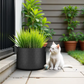 💐50% OFF ! Thickened Non-Woven Grow Bag – Breathable Fabric Prevents Root Circling 🌬️🪴【Limited Offer】