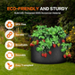 💐50% OFF ! Thickened Non-Woven Grow Bag – Breathable Fabric Prevents Root Circling 🌬️🪴【Limited Offer】