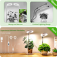 💐50% OFF! LED Plant Grow Light Ring – Full Spectrum for Vibrant Blooming 🌈🌱【Limited Offer】