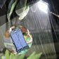 💐50% OFF! Solar Clip Lamp – Clip Anywhere, No Wiring ☀️🔧【Limited Offer】