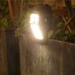 💐50% OFF! Solar Clip Lamp – Clip Anywhere, No Wiring ☀️🔧【Limited Offer】