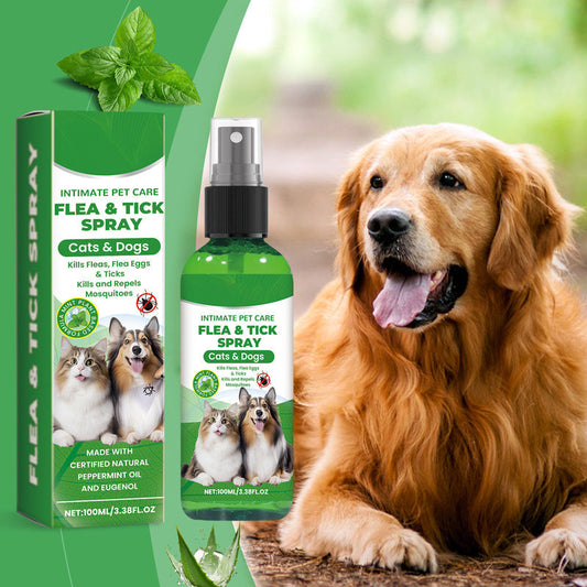 💐50% OFF ! Natural Flea & Tick Spray for Dogs & Cats – Protects Without Harsh Chemicals 🐶🌿【Limited Offer】